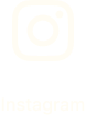 Instagram Button